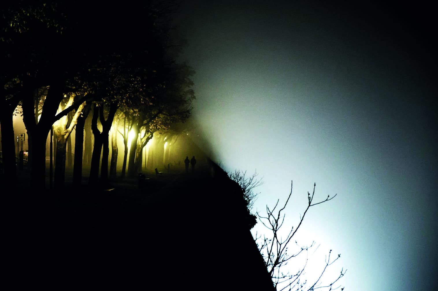 Sagome tra alberi illuminati e una collina avvolta nella nebbia