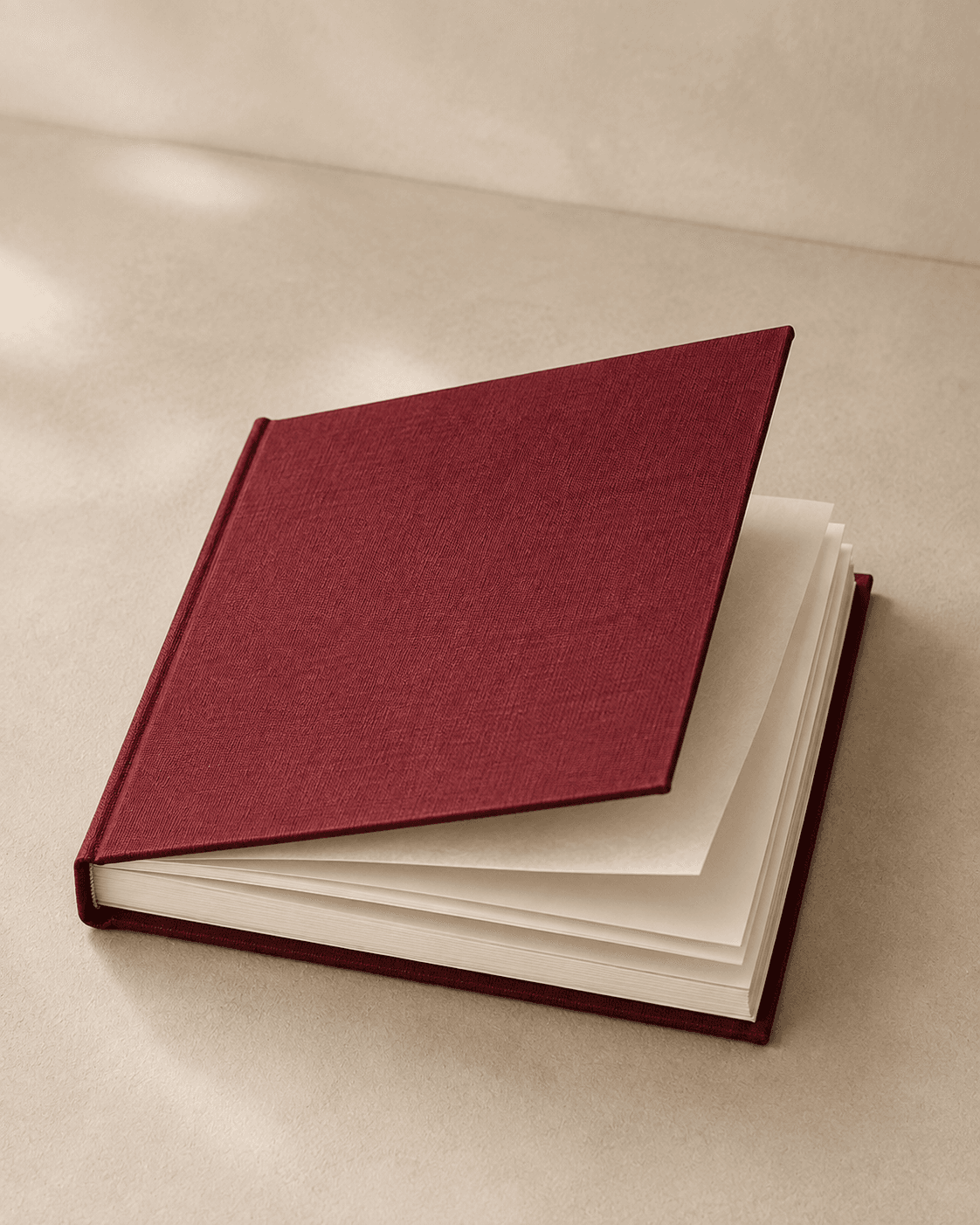Immagine illustrativa dell’idea Album da comporre